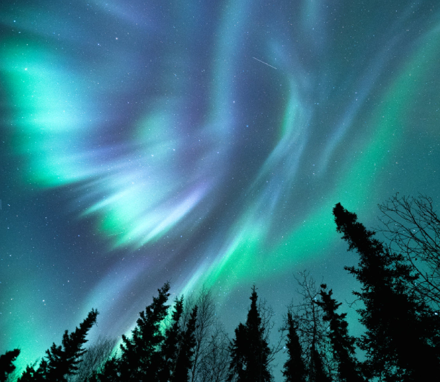 Smart Perpetual Glowing